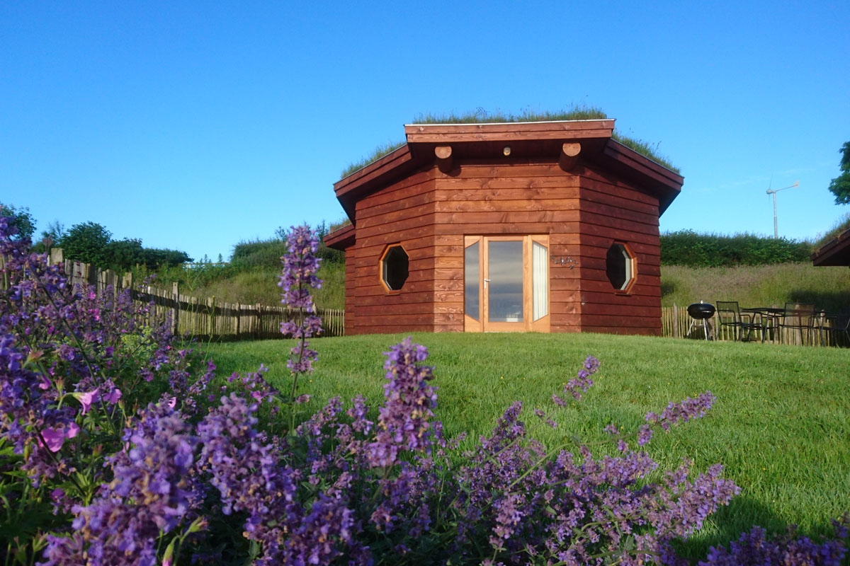 treberfedd farm eco cabins