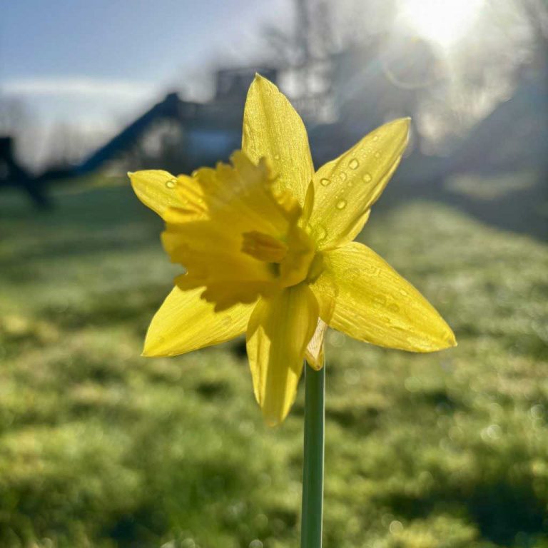 Why would you want to stay in our Eco-Lodge, Saffir, this March?